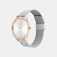 Timeless Women Quartz Silver Dial Analog Mesh Watch 25100006