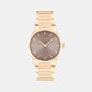 Ck Linear Elegance Women Quartz Brown Dial Analog Stainless Steel Watch 25100078