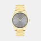 Ck Linear Elegance Women Quartz Grey Dial Analog Stainless Steel Watch 25100082
