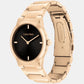 Ck Linear Elegance Women Quartz Black Dial Analog Stainless Steel Watch 25100086