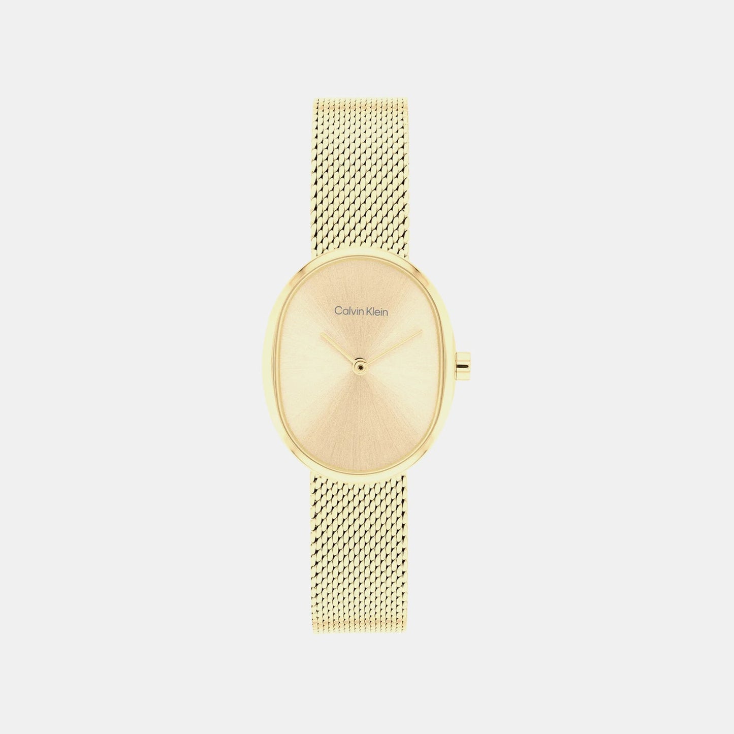 Euphoria Women Quartz Gold Dial Analog Stainless Steel Watch 25100174
