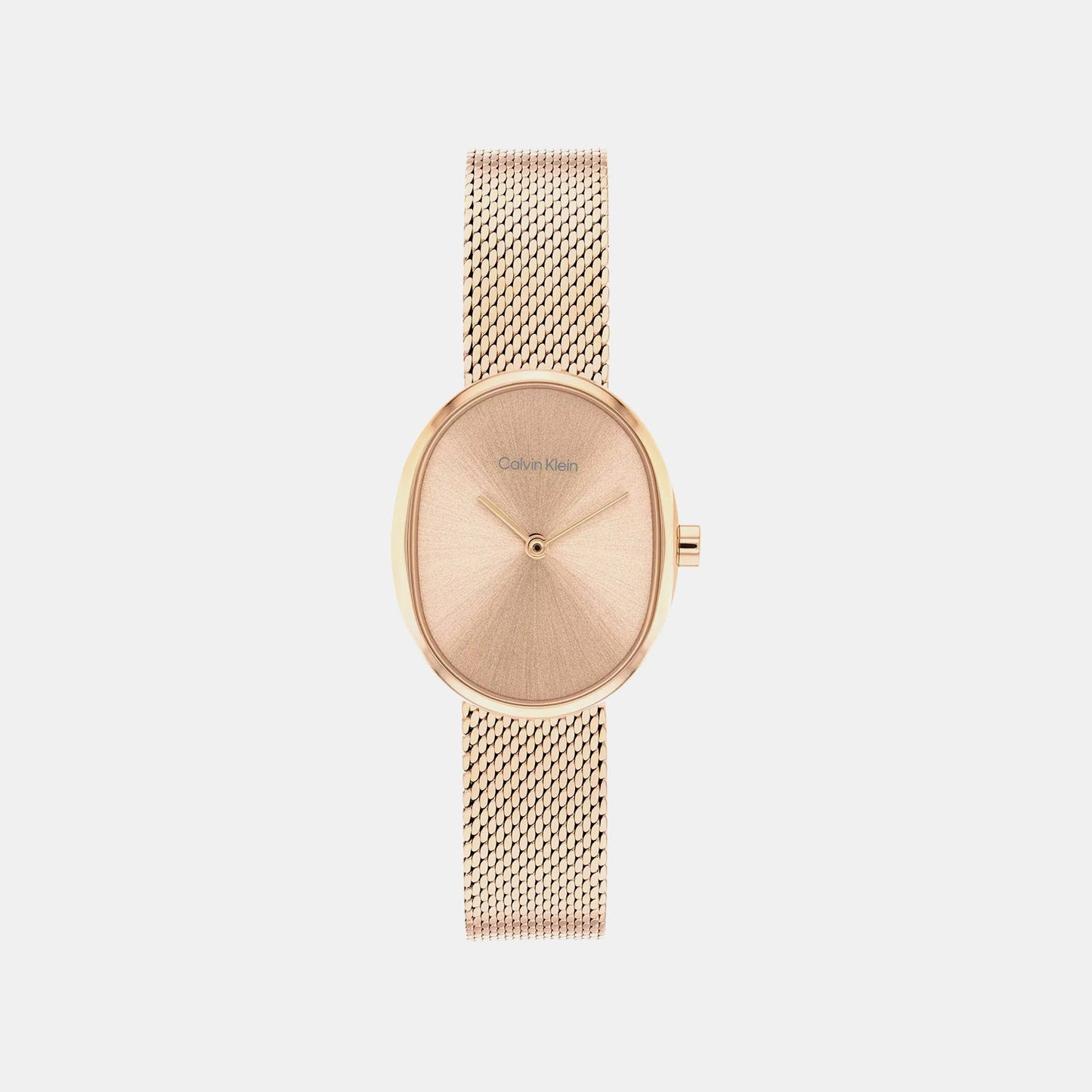 Euphoria Women Quartz Rose Gold Dial Analog Mesh Watch 25100175