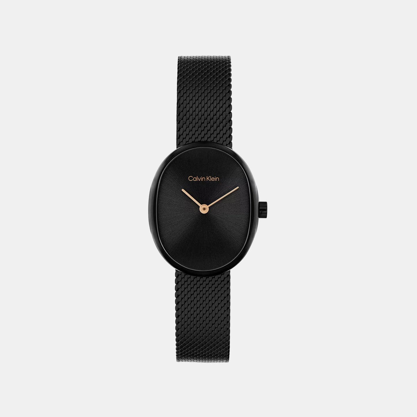 Euphoria Women Quartz Black Dial Analog Mesh Watch 25100176