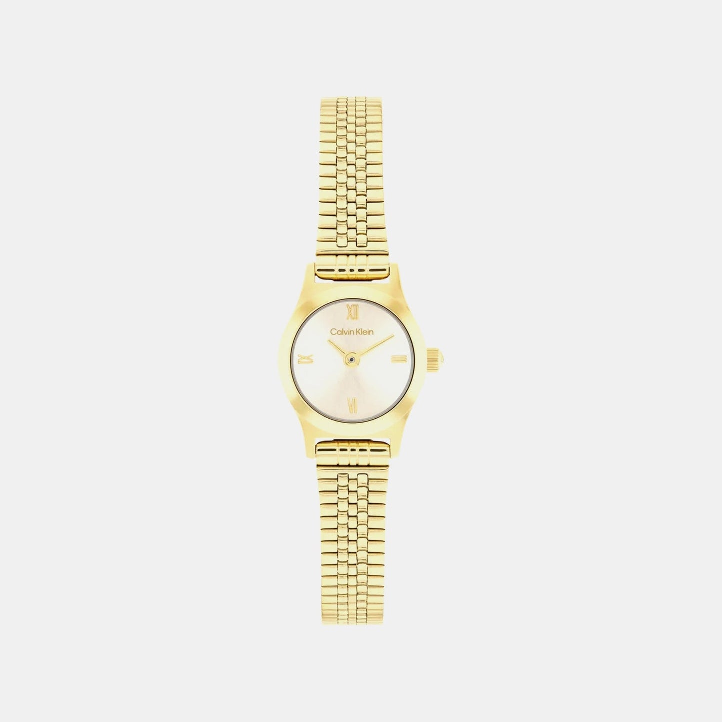 Ck Contemporary Women Quartz Gold Dial Analog Stainless Steel Watch 25100201
