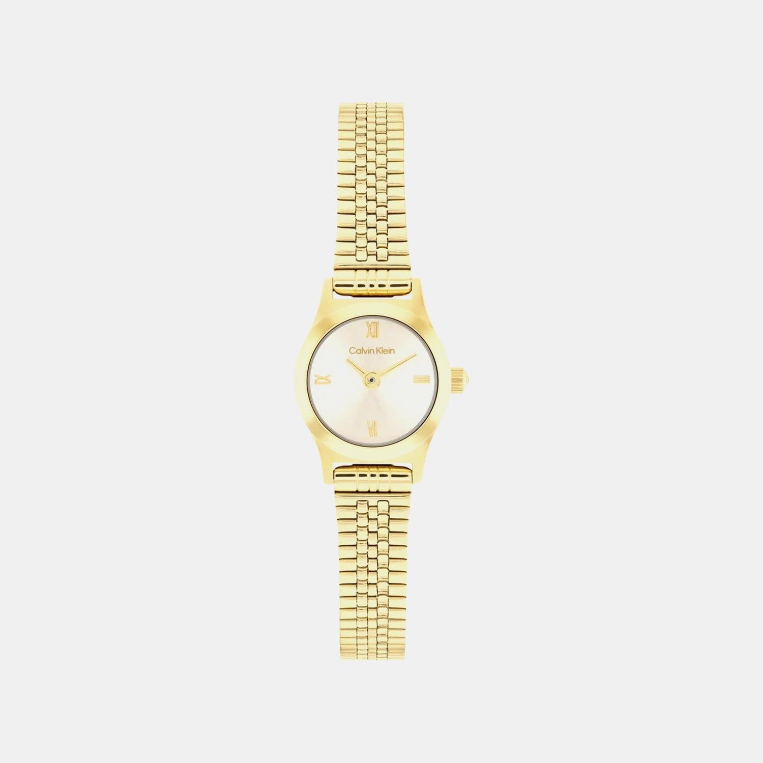 Ck Contemporary Women Quartz Gold Dial Analog Stainless Steel Watch 25100201