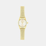 Ck Contemporary Women Quartz Gold Dial Analog Stainless Steel Watch 25100201
