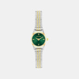 Ck Contemporary Women Quartz Green Dial Analog Stainless Steel Watch 25100202
