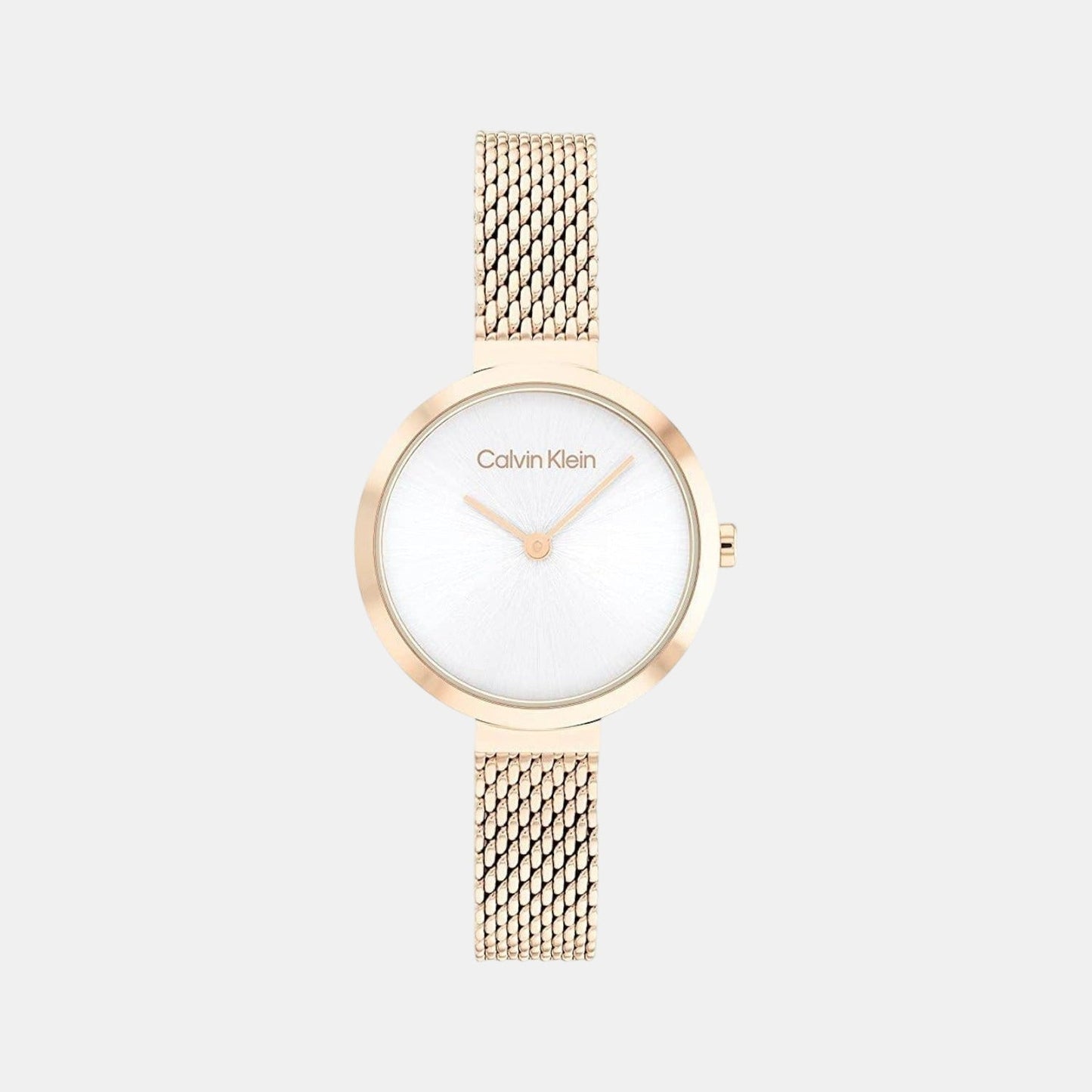 Minimalistic T Bar Women Quartz Silver Dial Analog Mesh Watch 25200083