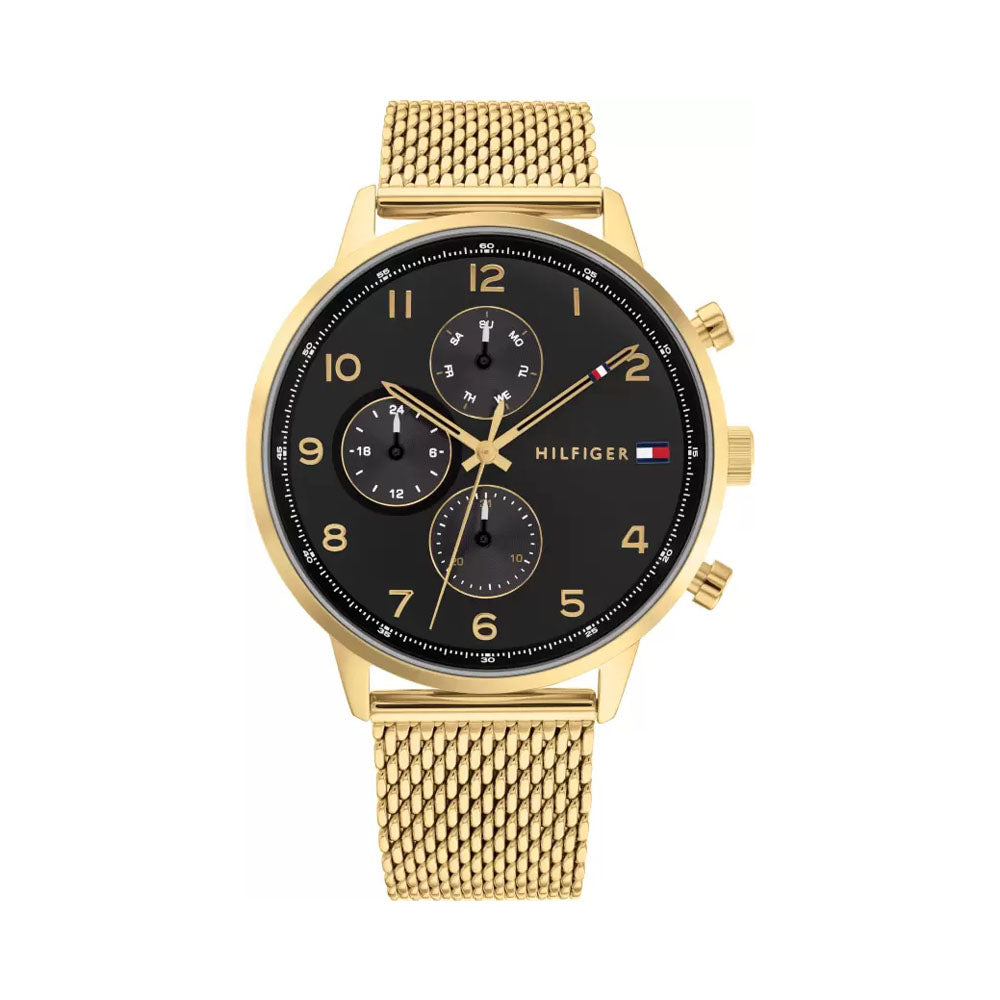 TOMMY HILFIGER TH1791989 Analog Watch - For Men