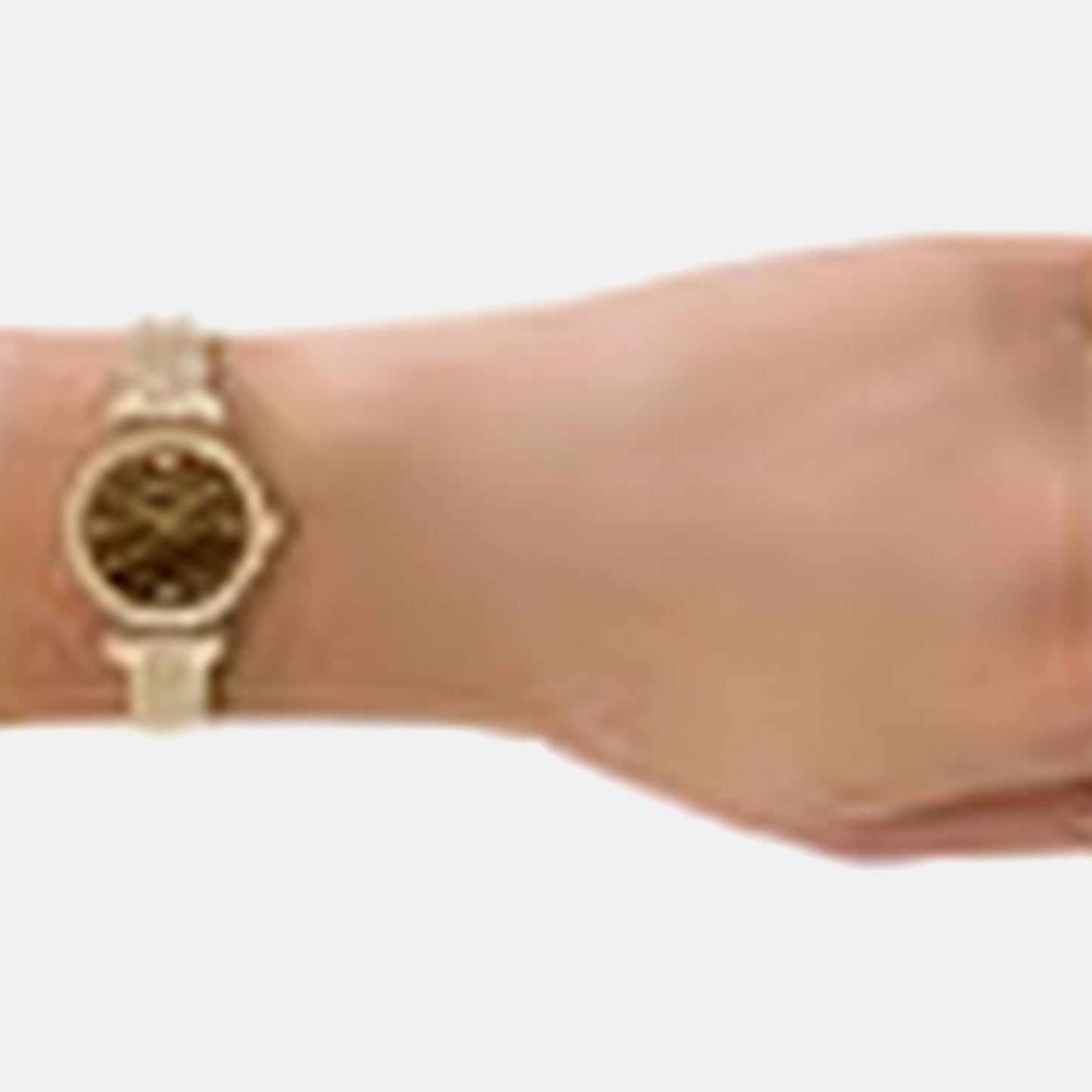 Women Quartz Brown Dial Analog Stainless Steel Watch AR11703