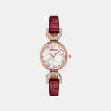 Women Quartz Gold Dial Analog Leather Watch AR11737