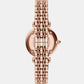 Women Quartz Grey Dial Analog Stainless Steel Watch AR11767