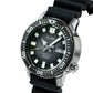 AL4641X1 Dove Grey Dial Automatic Watch