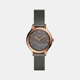 Laney Women Quartz Mother Of Pearl Dial Analog Mesh Watch BQ3393