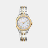 Brooklyn Mini Women Quartz Mother Of Pearl Dial Analog Stainless Steel Watch DK1L013M0085
