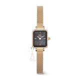 Quadro Mini Crystal Zodiac Evergold