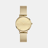 Petite Women Quartz Gold Dial Analog Stainless Steel Watch DW00100797K