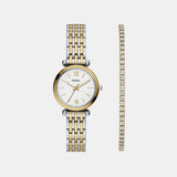 Carlie Women Quartz Silver Dial Analog Stainless Steel Watch ES5450SET