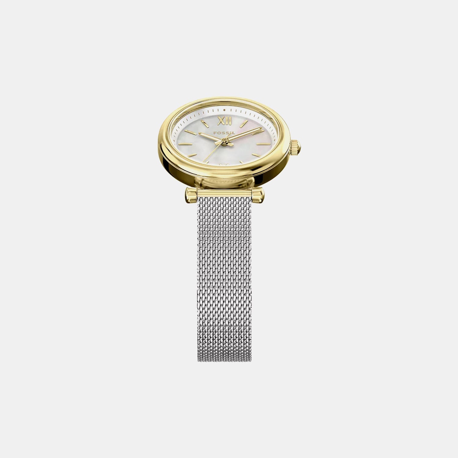 Carlie Women Quartz Mother Of Pearl Dial Analog Mesh Watch ES5463
