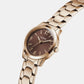 Gd Winni Women Quartz Brown Dial Analog Stainless Steel GW1028L4