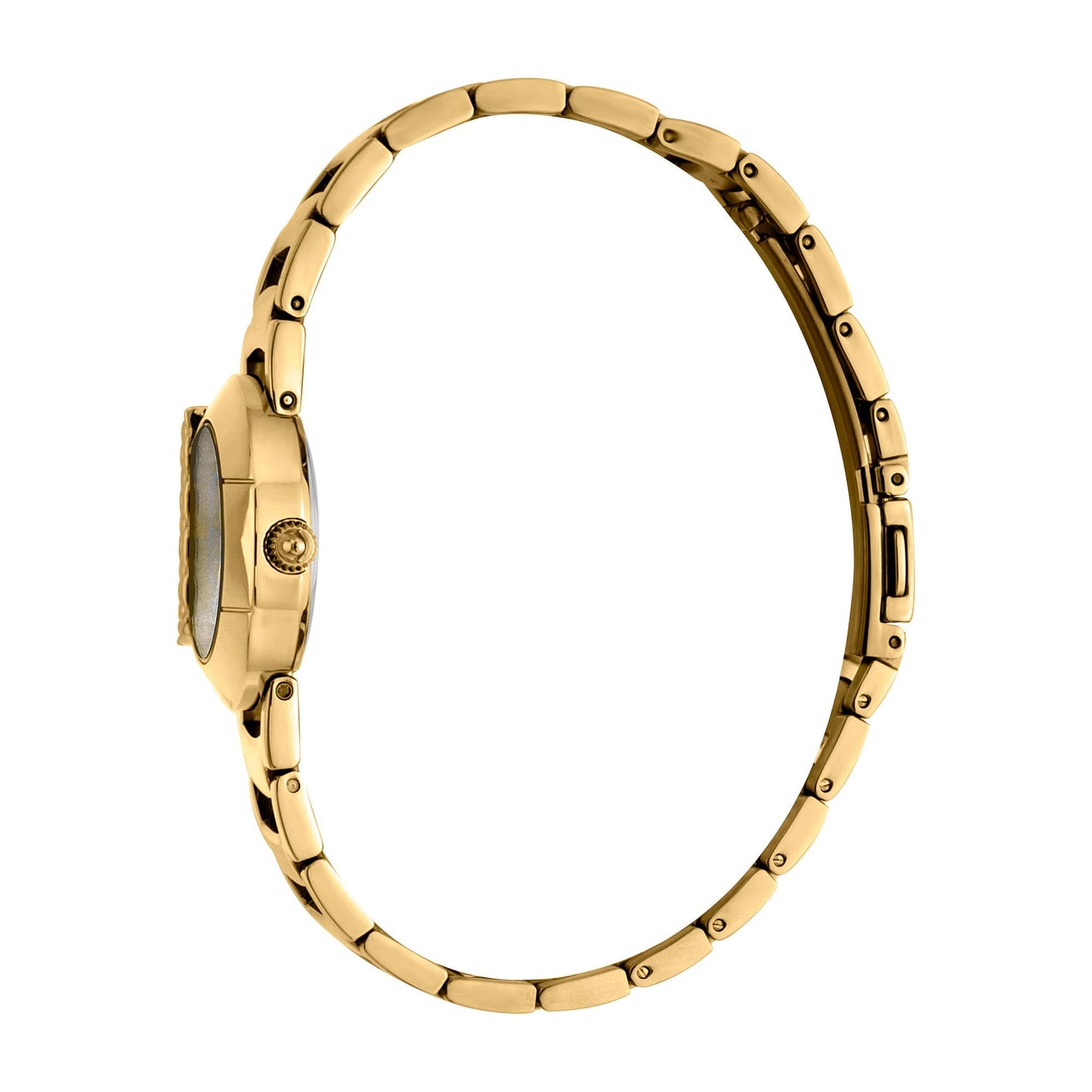 Steel Yellow Gold Zebra Glitter