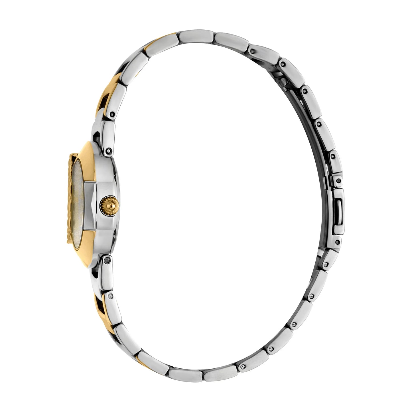 Steel Yellow Gold TwoTone Zebra Glitter