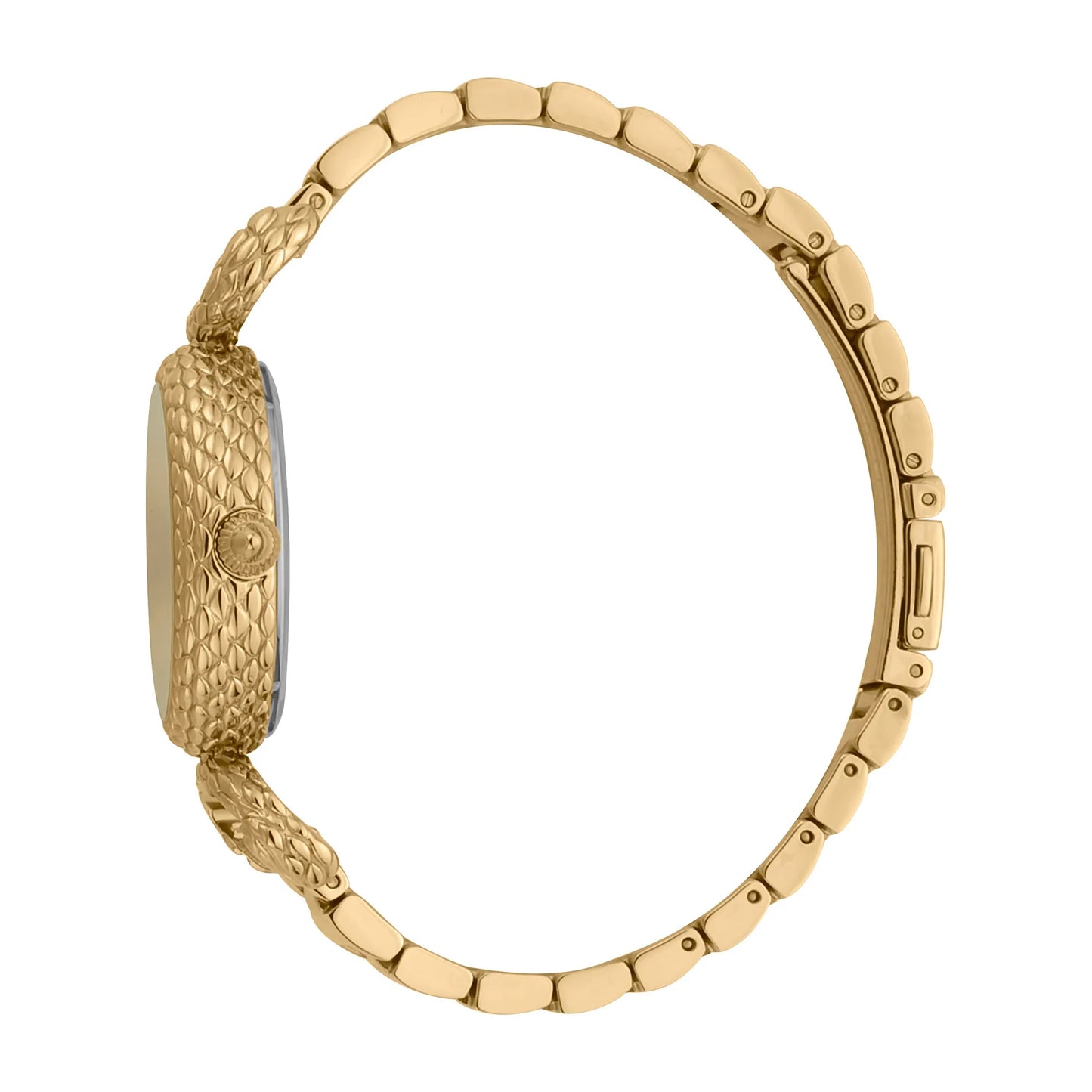 Snake Inside Gold Champagne