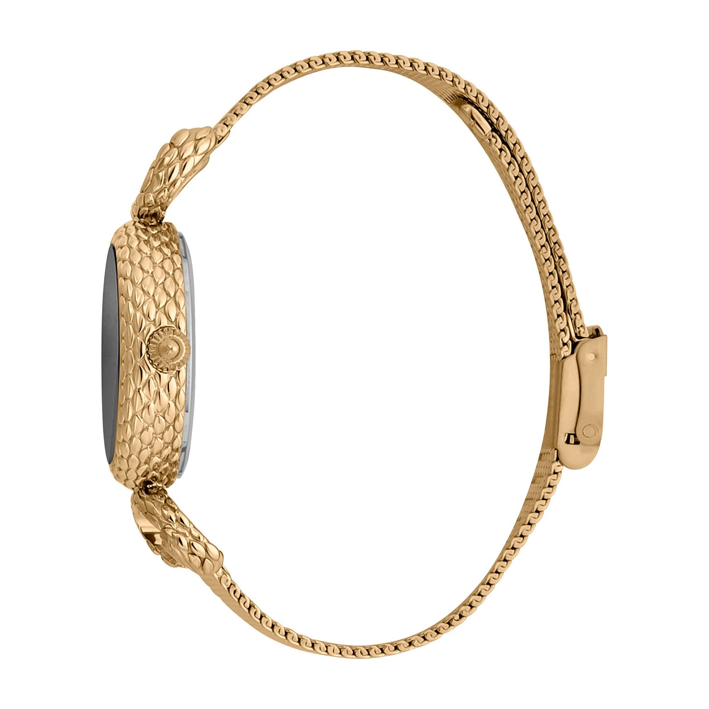 Snake Inside Gold Grey