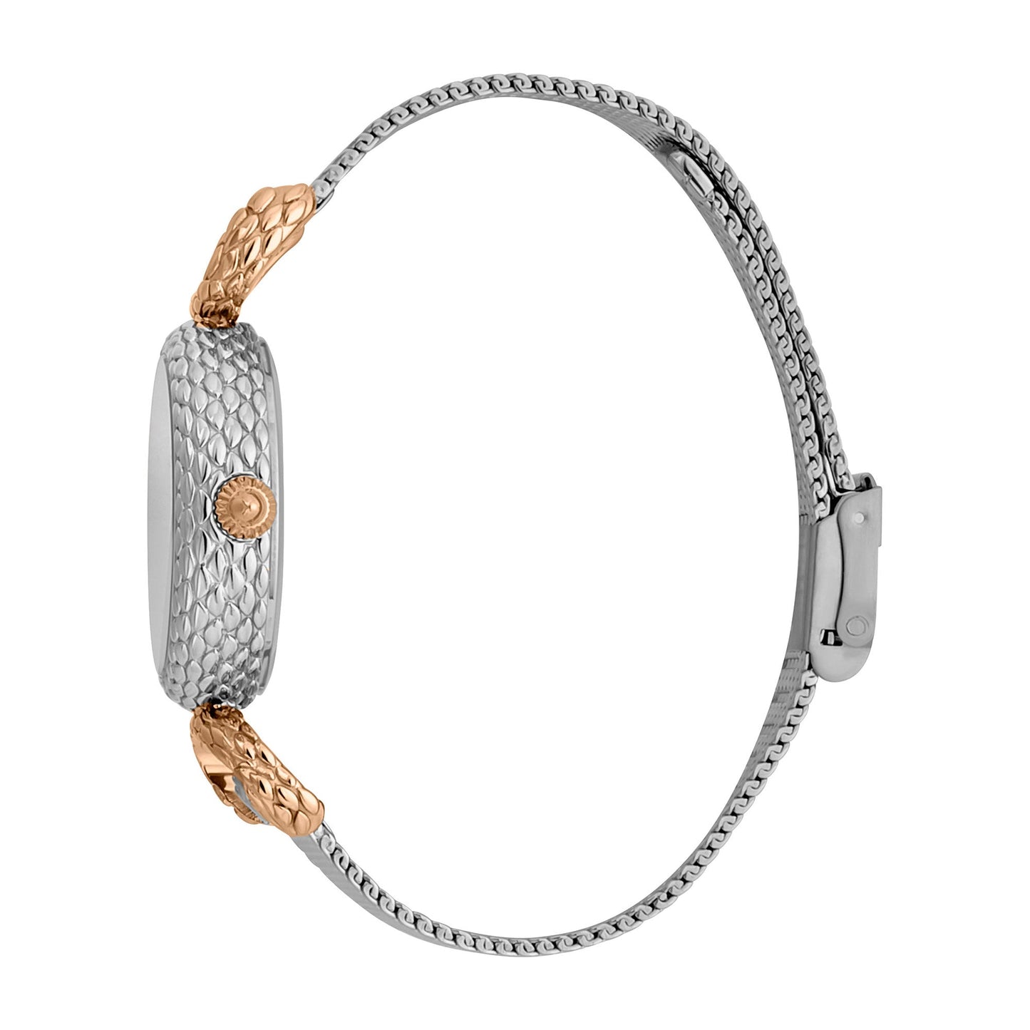Snake Inside Two Tone