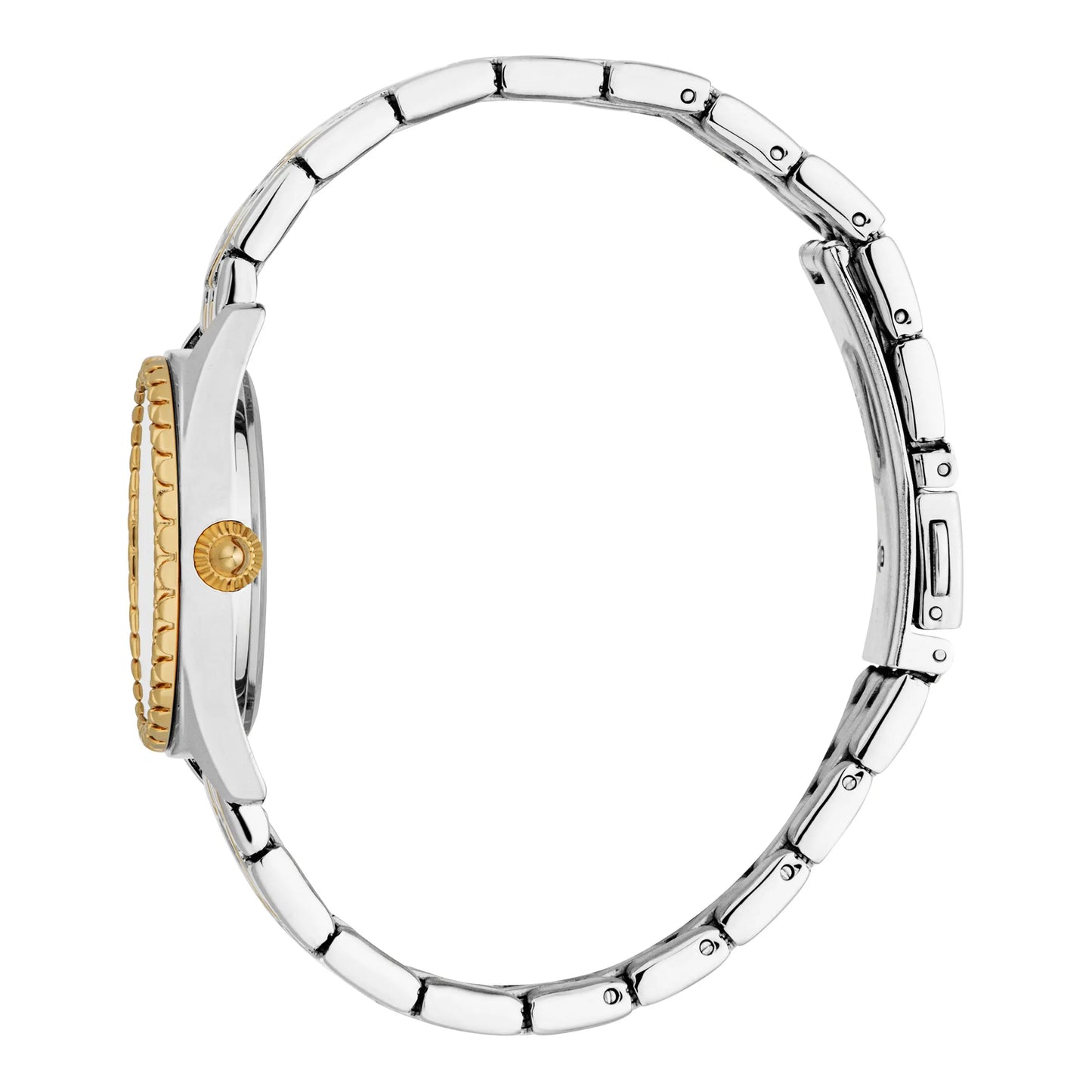 Indomitable Animalier Two Tones YG Silver