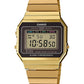 Casio Watch D198