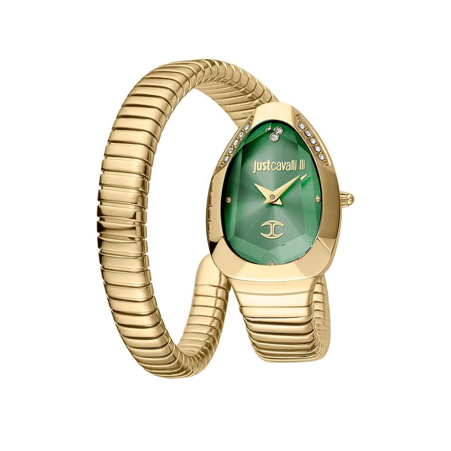 Just Cavalli Watch JC1L208M0045