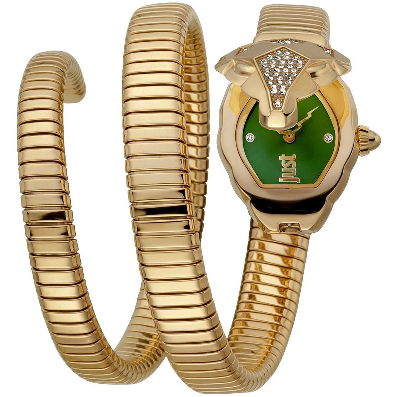 Just Cavalli Watch JC1L073M0065