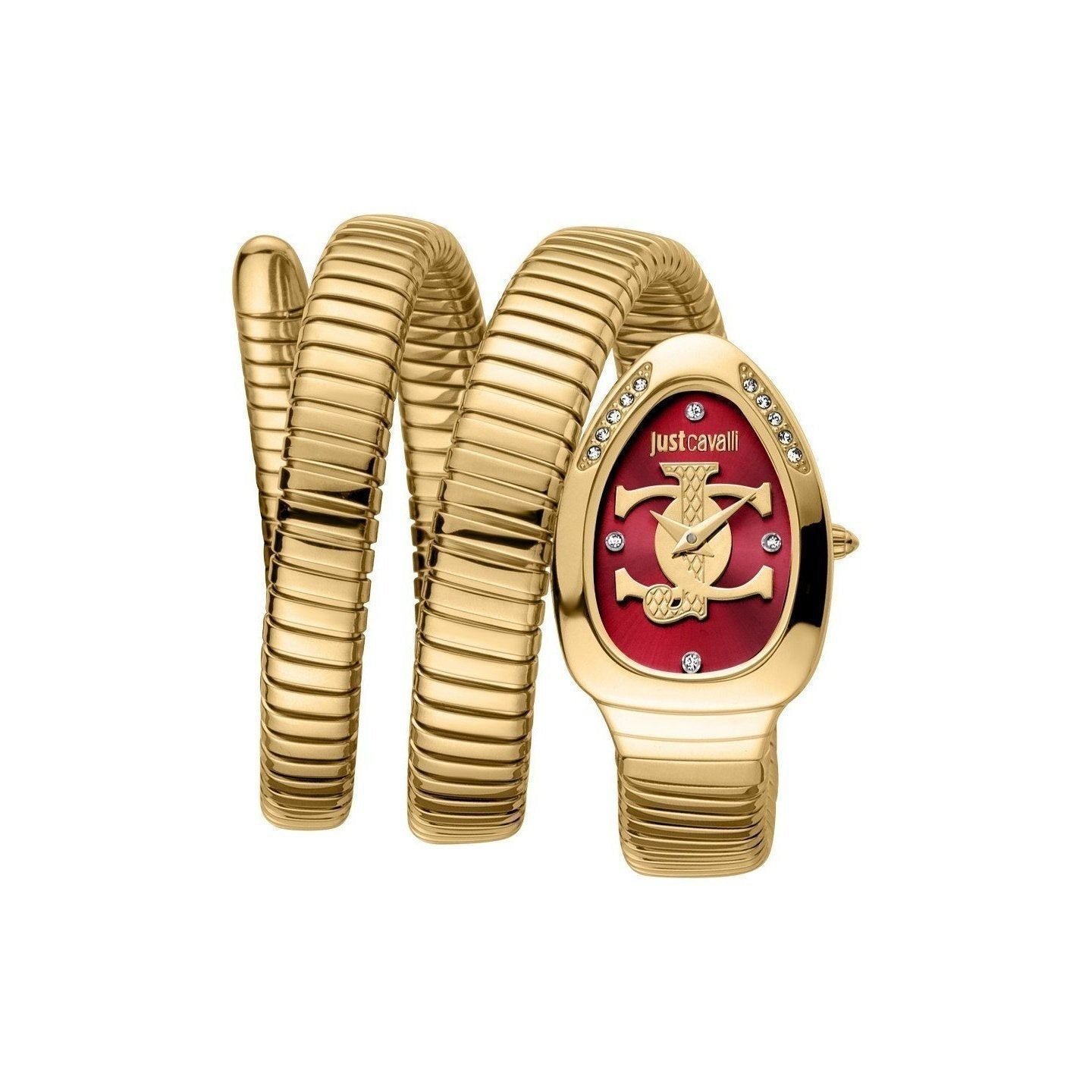 Just Cavalli Watch JC1L228M0045