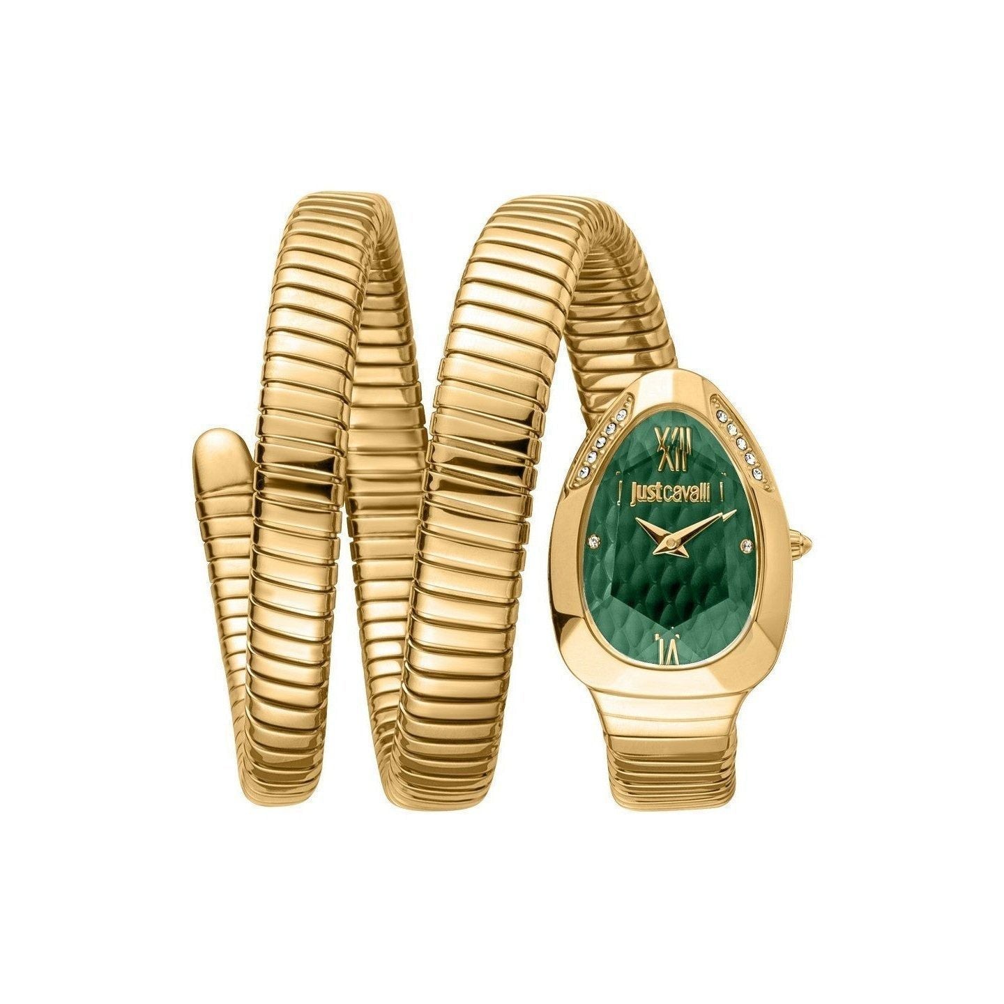 Just Cavalli Watch JC1L224M0045