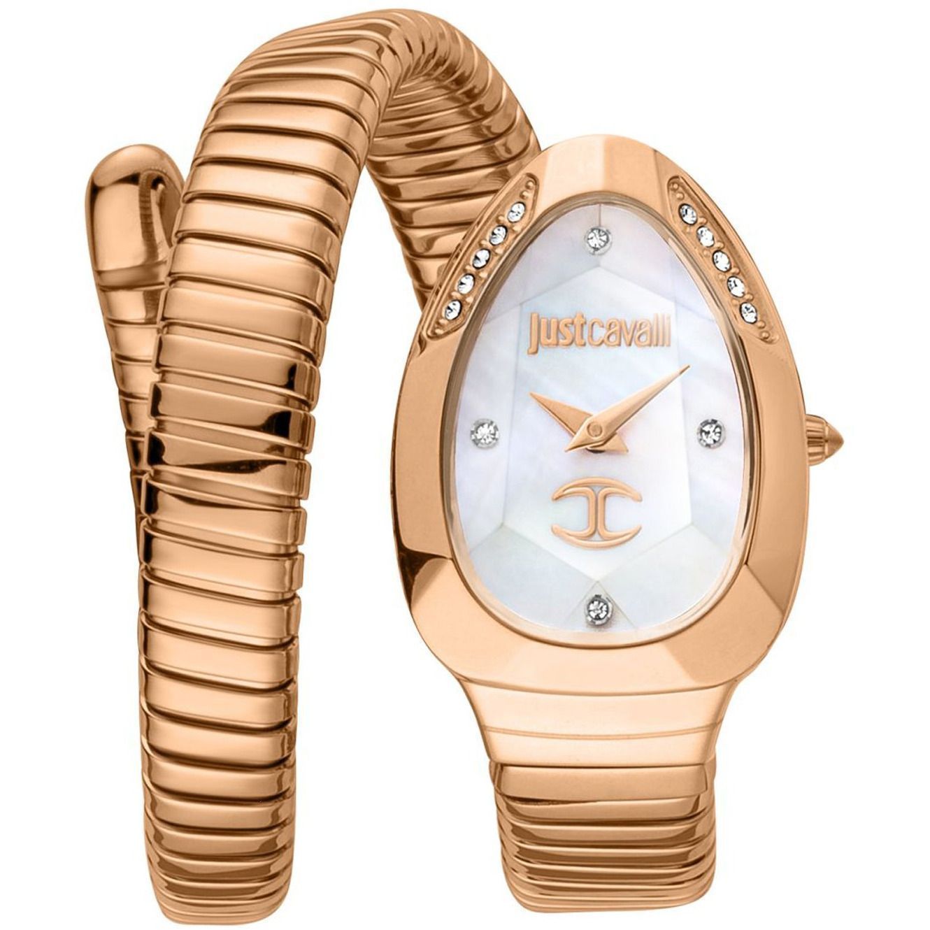 Just Cavalli Watch JC1L229M0045