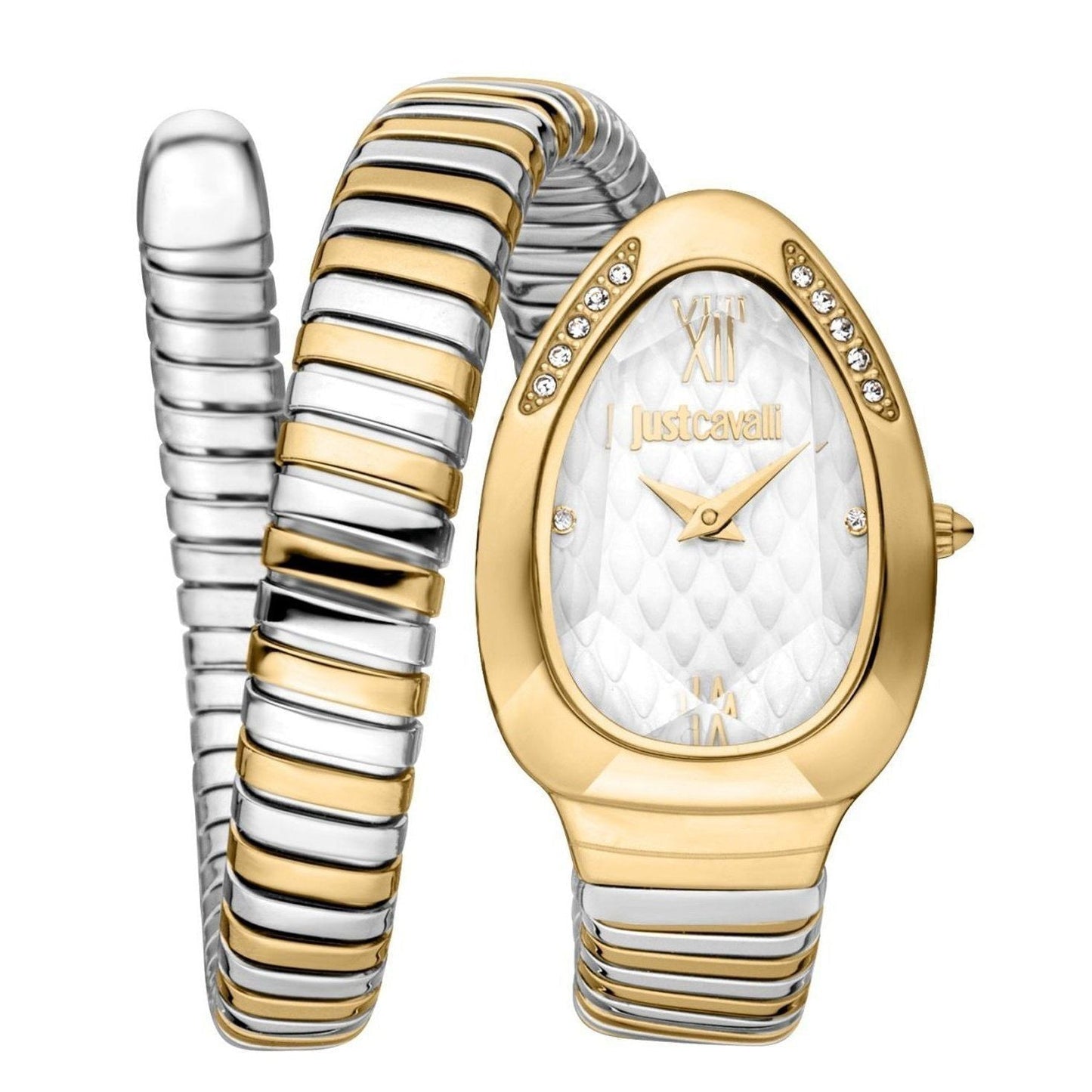 Just Cavalli Watch JC1L223M0055