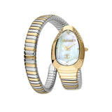 Just Cavalli Watch JC1L208M0065