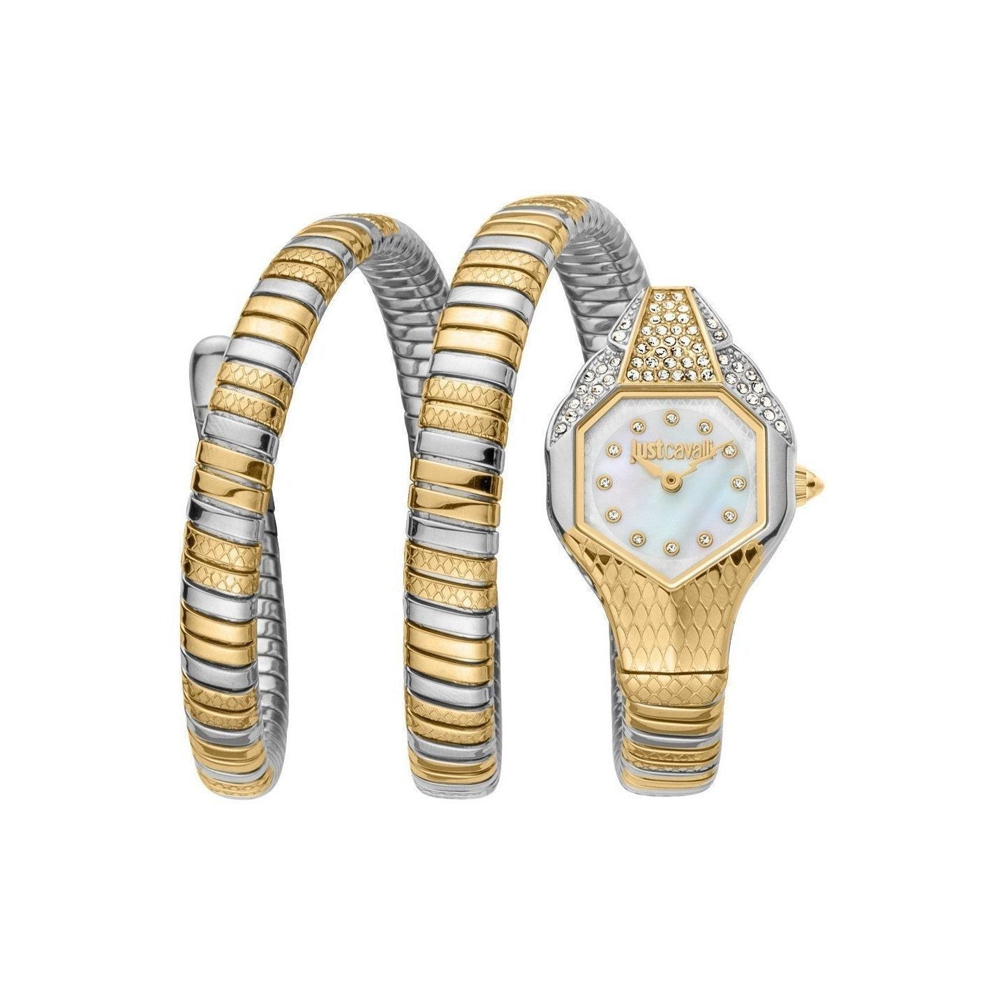 Just Cavalli Watch JC1L193M0055
