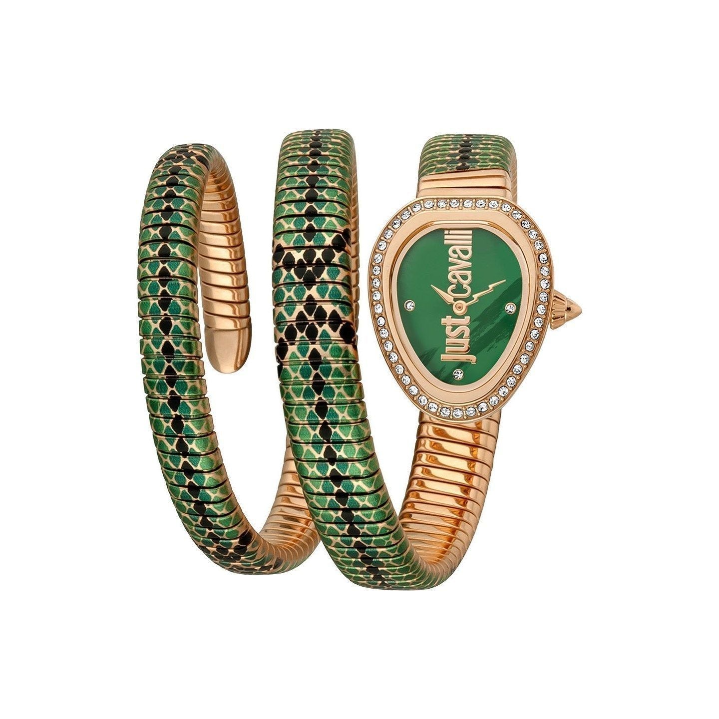 Just Cavalli Watch JC1L163M0265