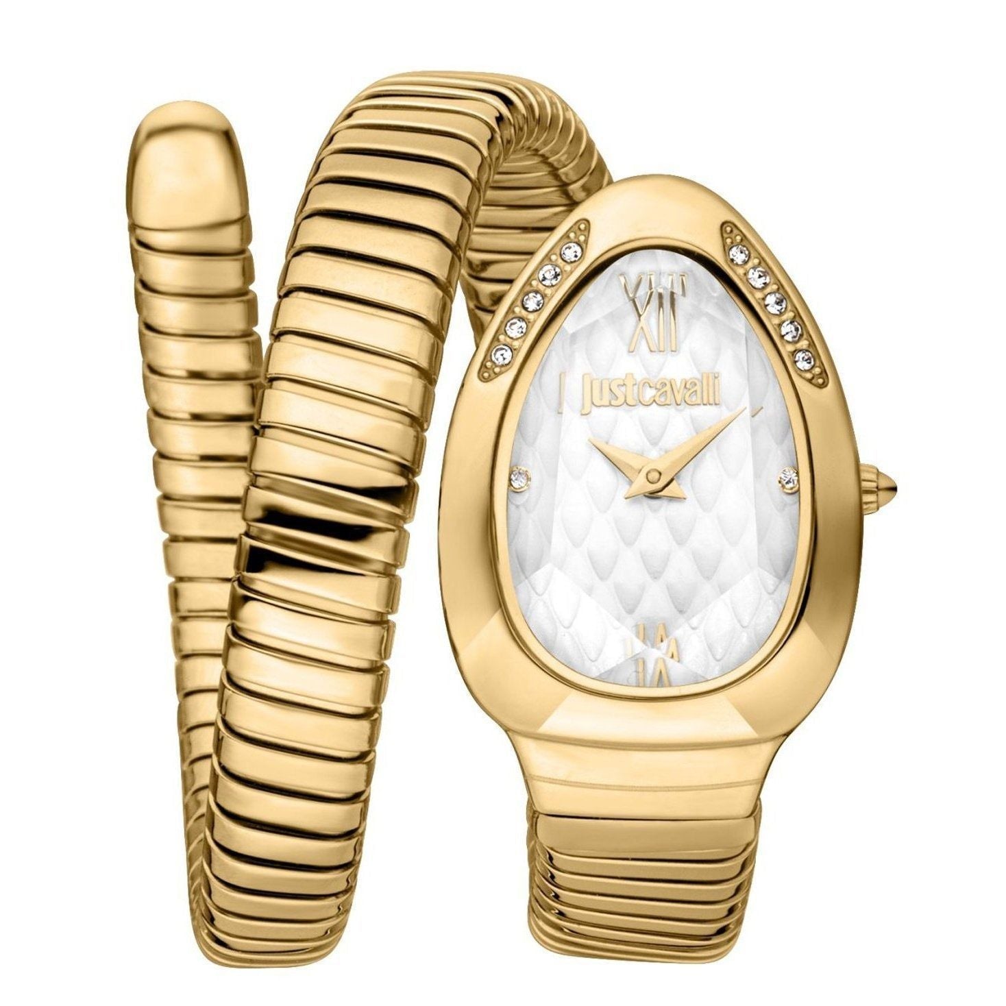 Just Cavalli Watch JC1L223M0025