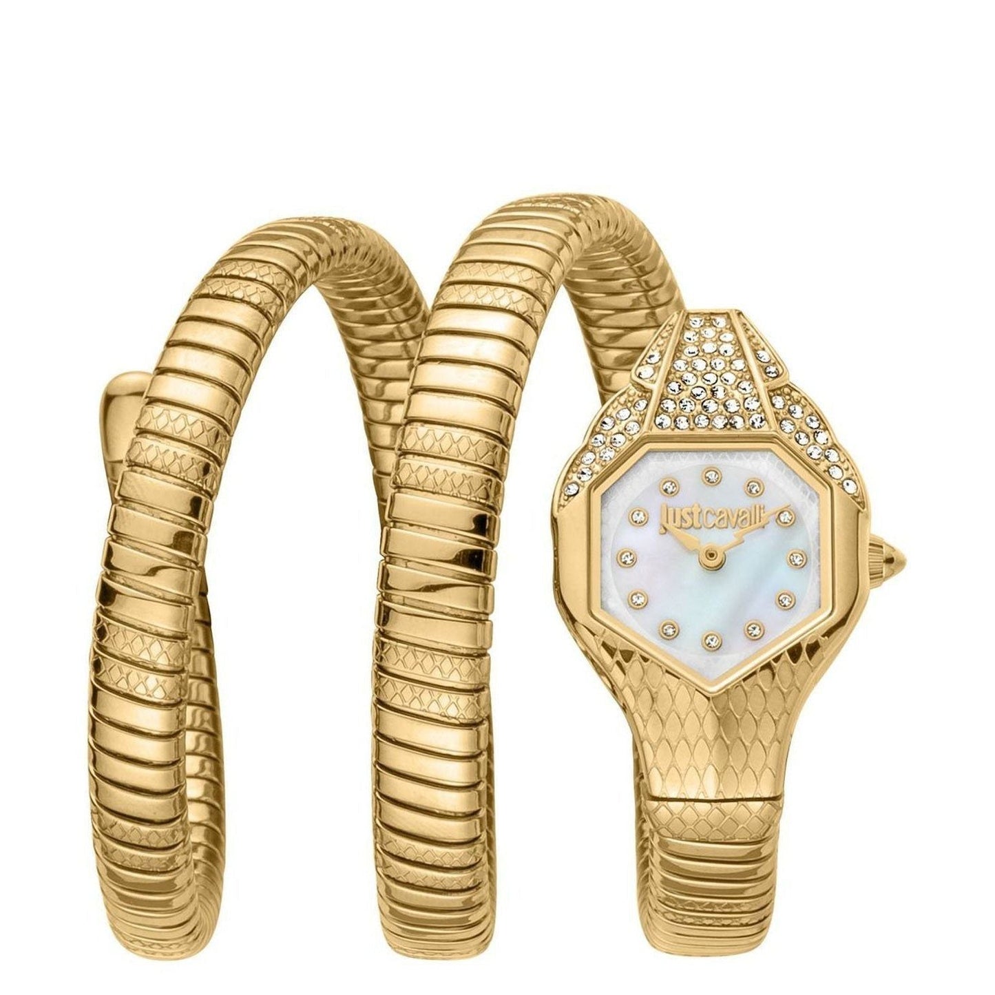 Just Cavalli Watch JC1L193M0025
