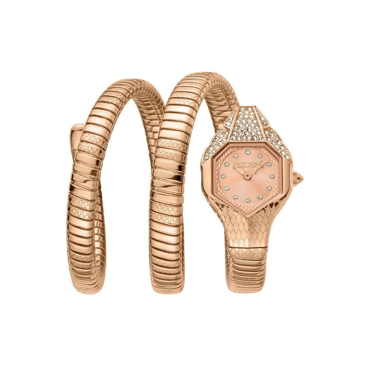 Just Cavalli Watch JC1L193M0045