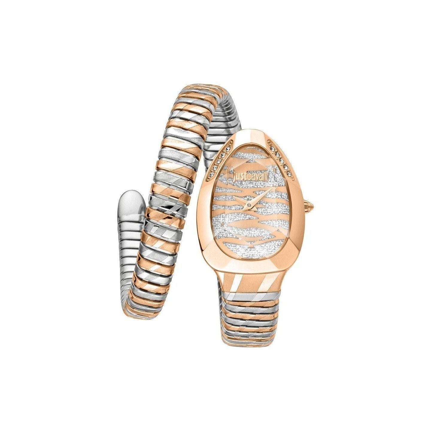 Just Cavalli Watch JC1L225M0095
