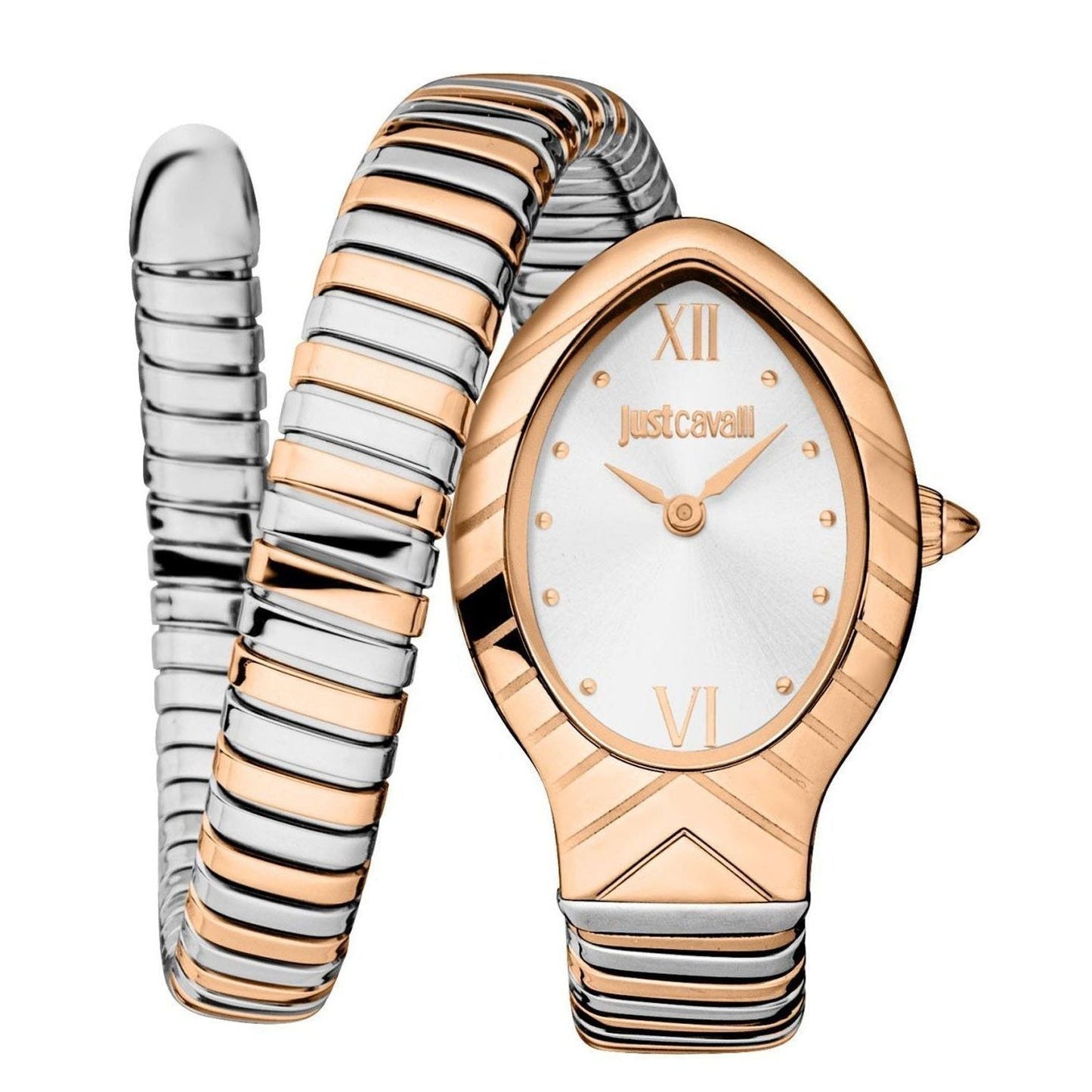 Just Cavalli Watch JC1L247M0065
