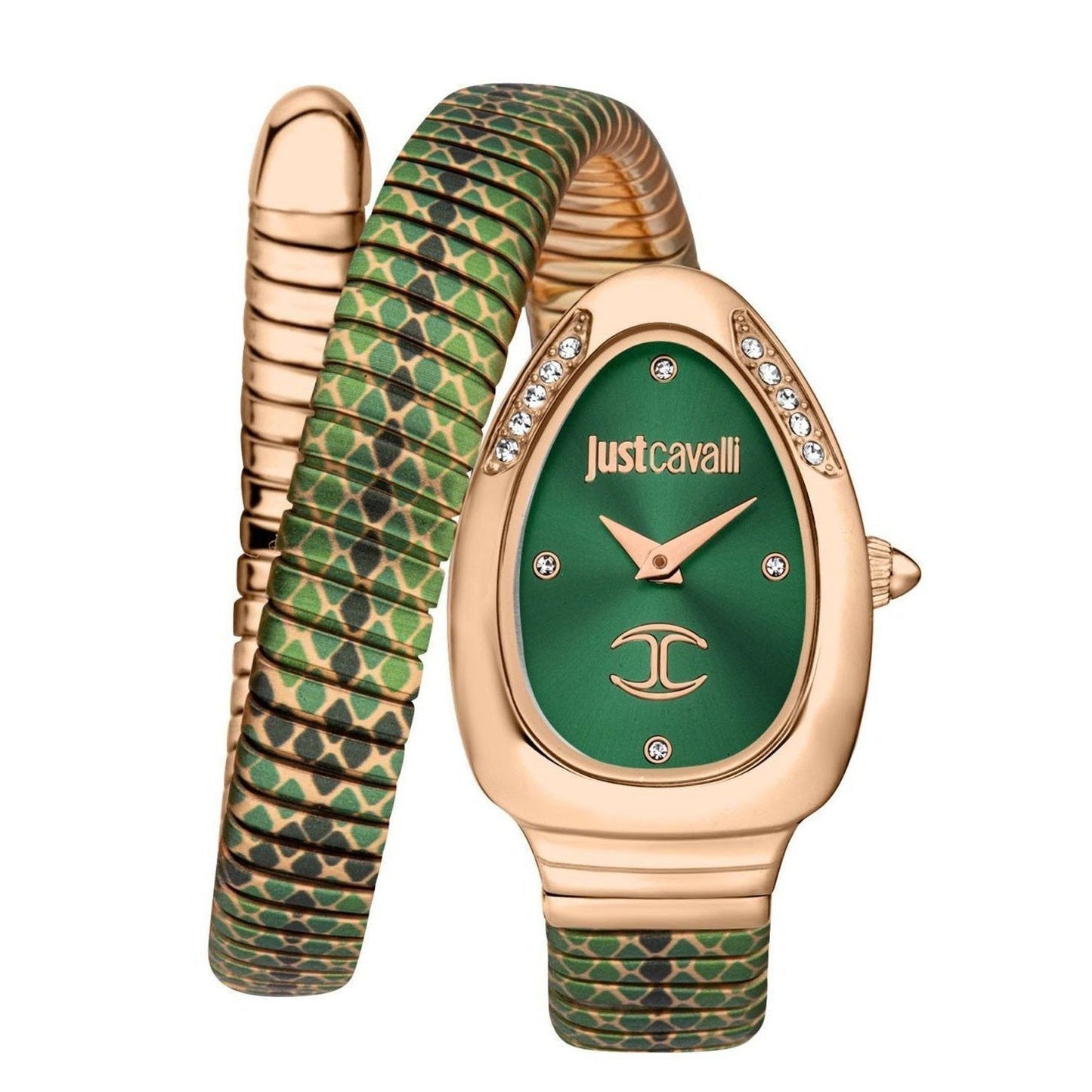 Just Cavalli Watch JC1L251M0075