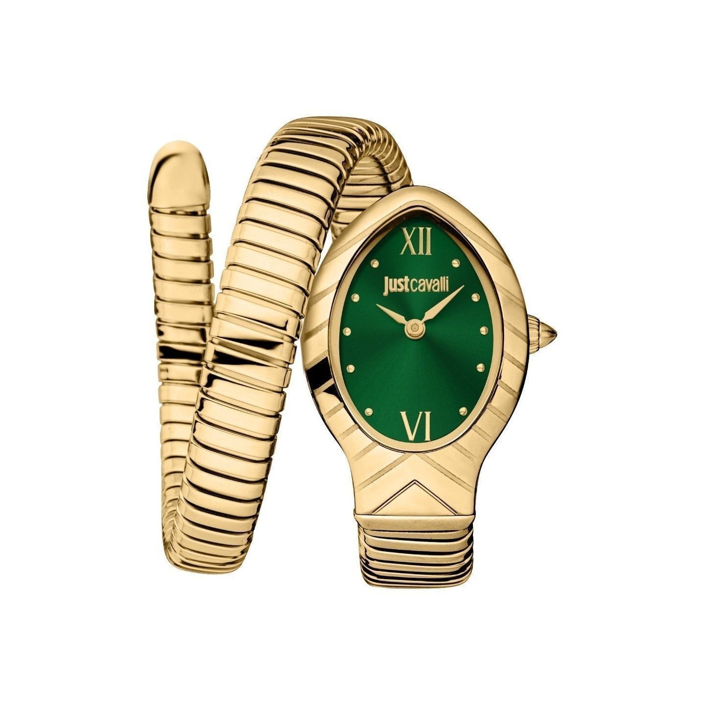 Just Cavalli Watch JC1L247M0035