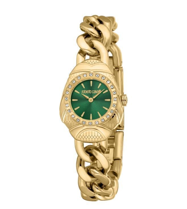 Roberto Cavalli Watch RC5L093M0035