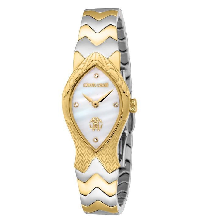 Roberto Cavalli Watch RC5L092M0055