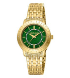 Roberto Cavalli Watch RC5L030M0065